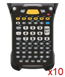 Zebra-FK065